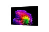 55" LG OLED55G64LW