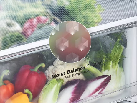 Moist Balance Crisper™