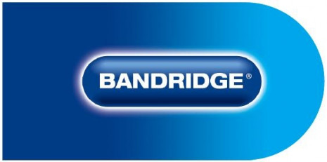 Bandridge