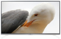 49" LG 49LF590V