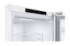 LG GBV3200CSW