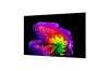 83" LG OLED83G64LW